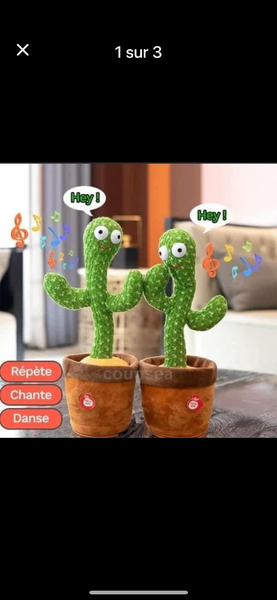 Cactus