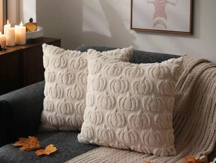 Coussins décoratifs doux