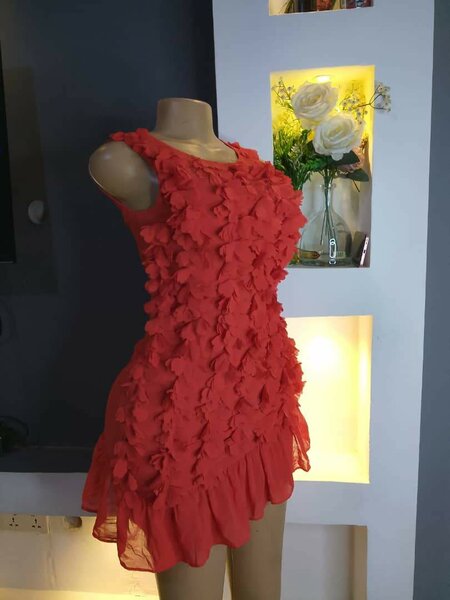 Ladies dress