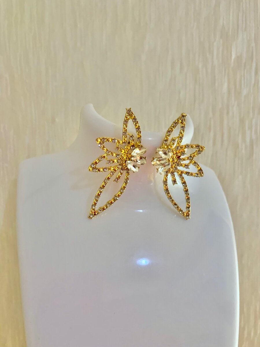 Fashion Earrings