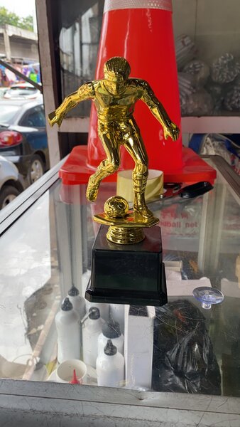 Trophée buteur