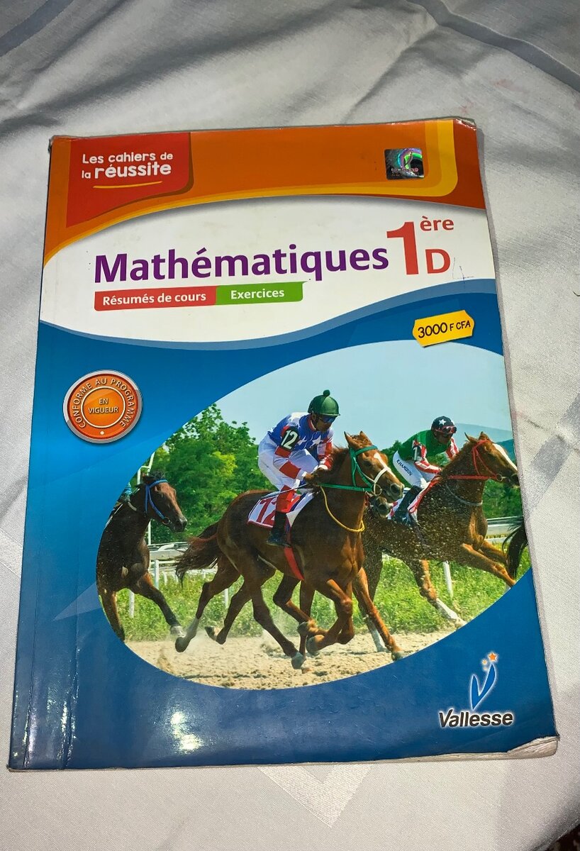 Livre Mathématiques 1ère D