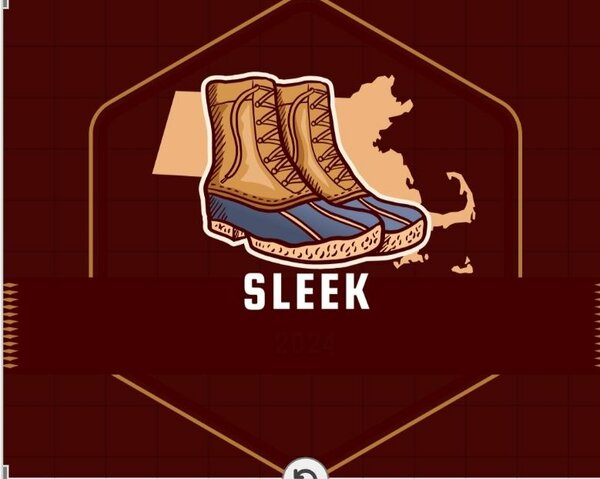 SLEEK STORE