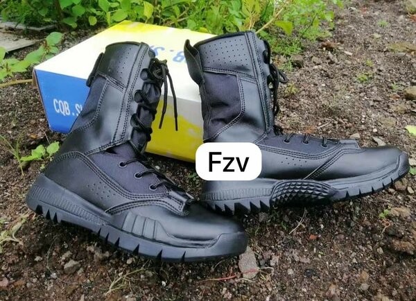 Fzv focus