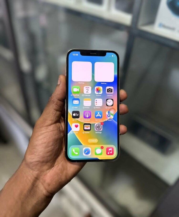 iPhone 12 Pro Max