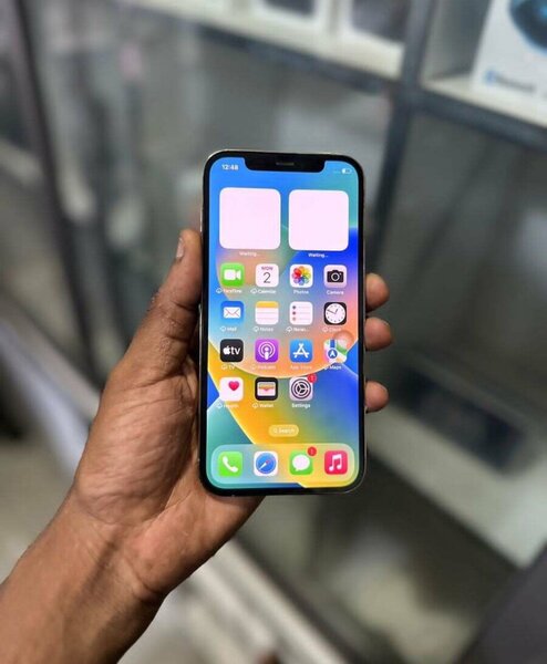 iPhone 12 Pro Max