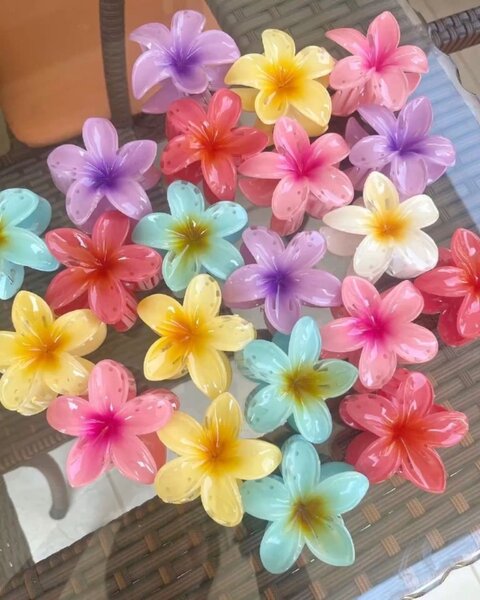 Peince florales colorées