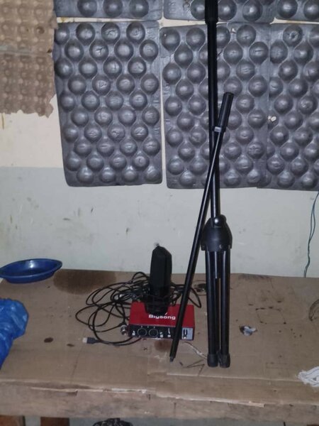Ensemble Microphone Studio Bigsong