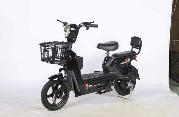 Electric bike