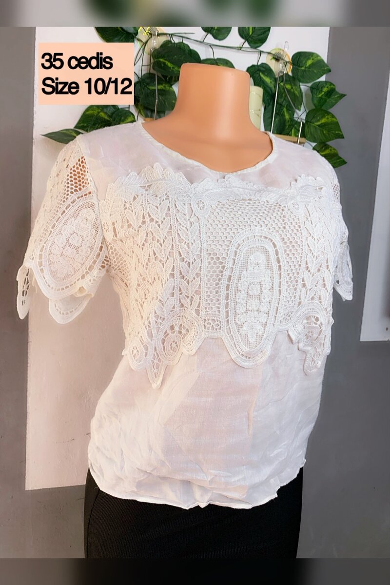 Ladies top