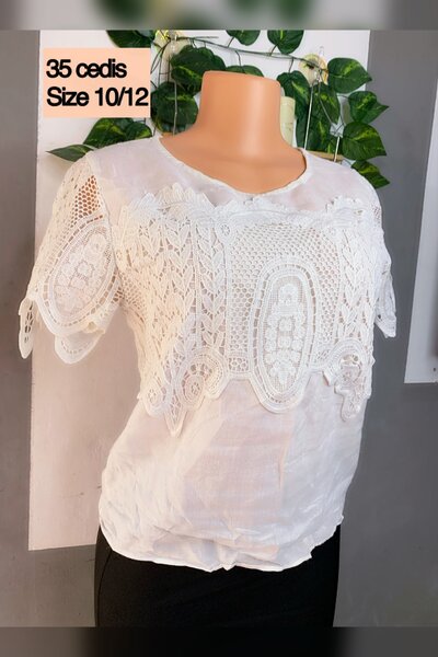Ladies top