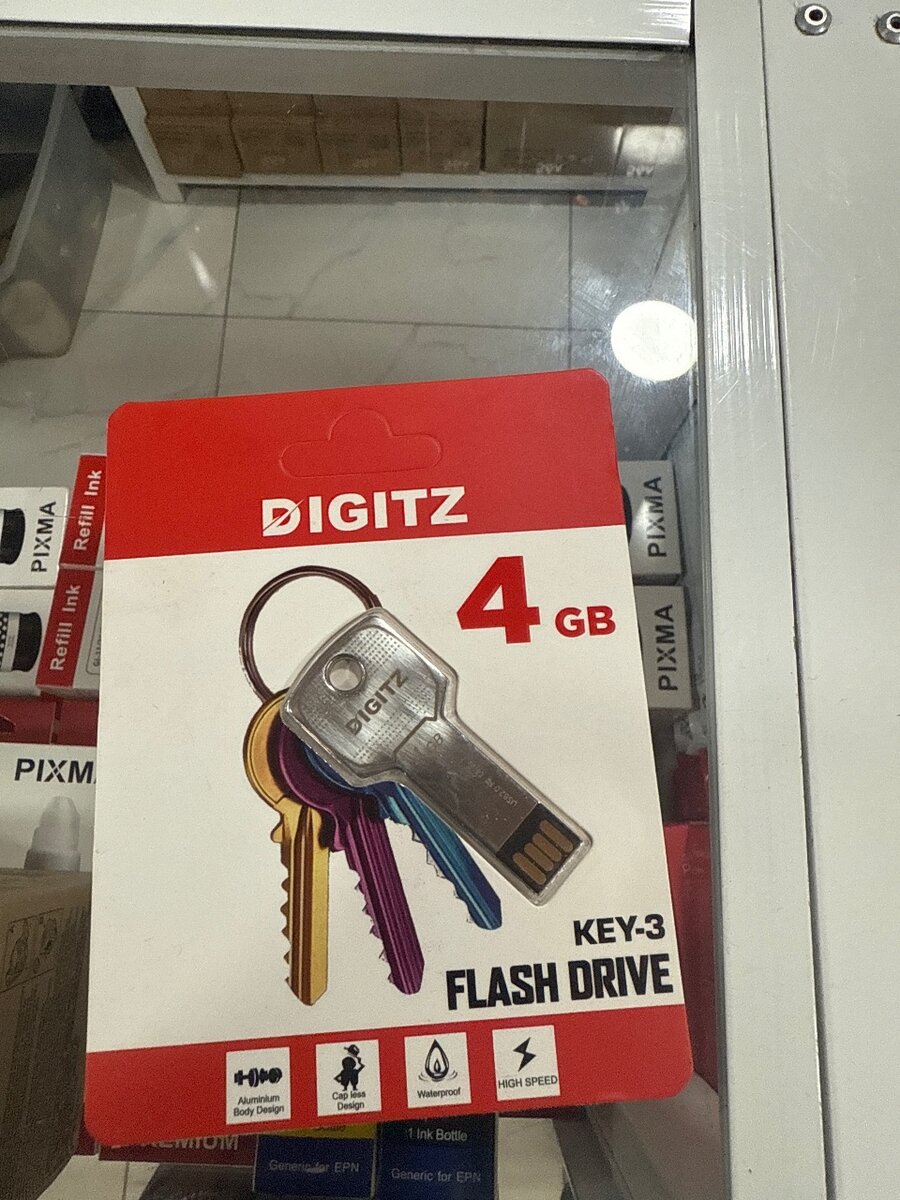 Clé USB 4 Go DIGITZ