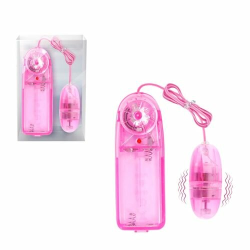œuf Stimulateur De Clitoris