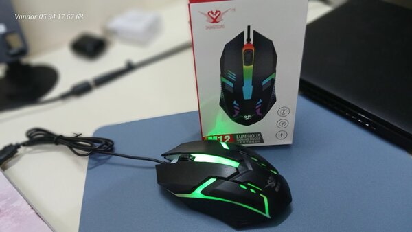 SOURIS GAMING POUR ORDINATEUR