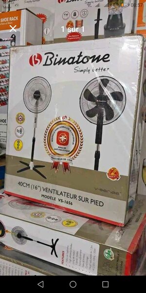 Ventilateur binatone 1656