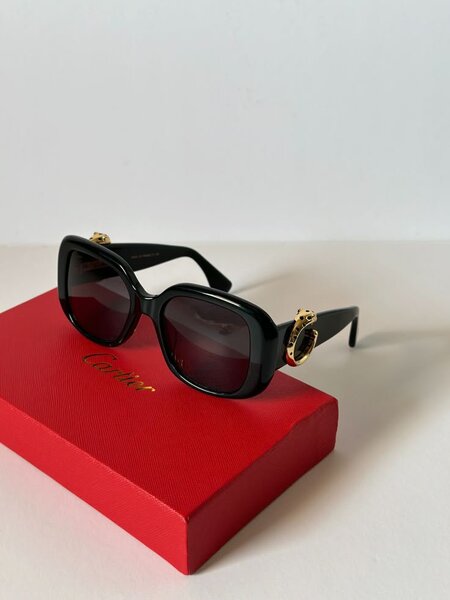 Lunettes de soleil élégantes