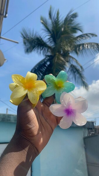 Une Pince en fleur
