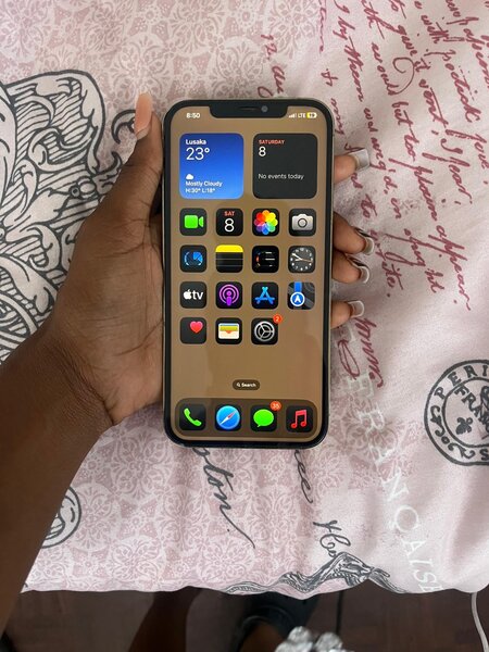 iPhone 12 Pro Max