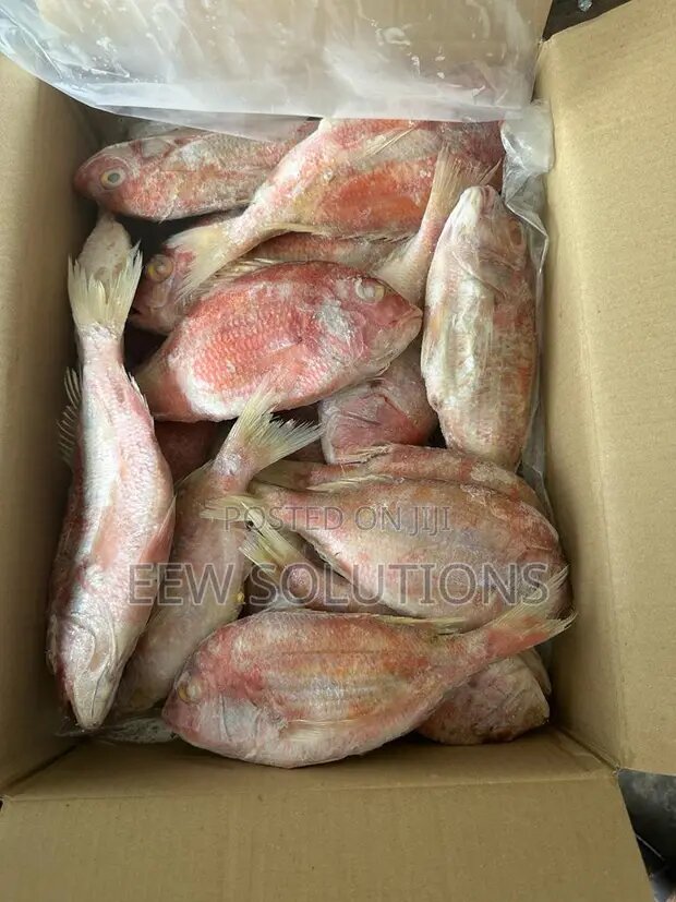 Red fish