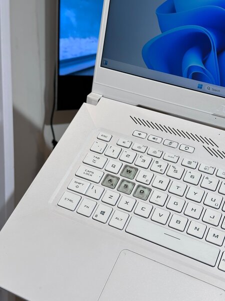 ASUS TURF