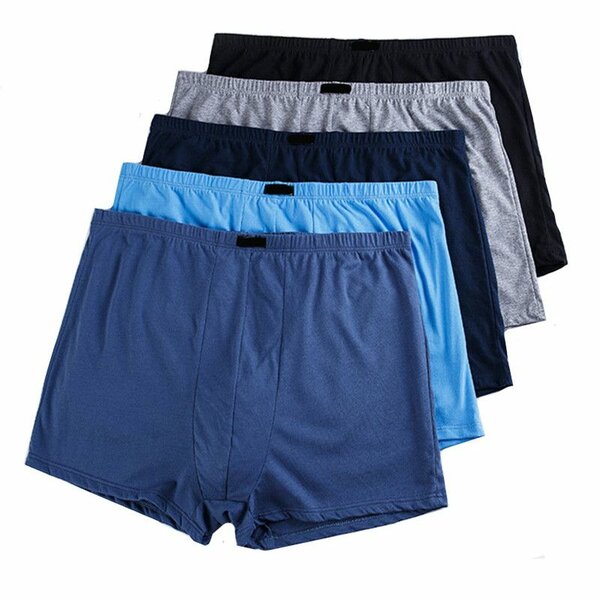 Boxer