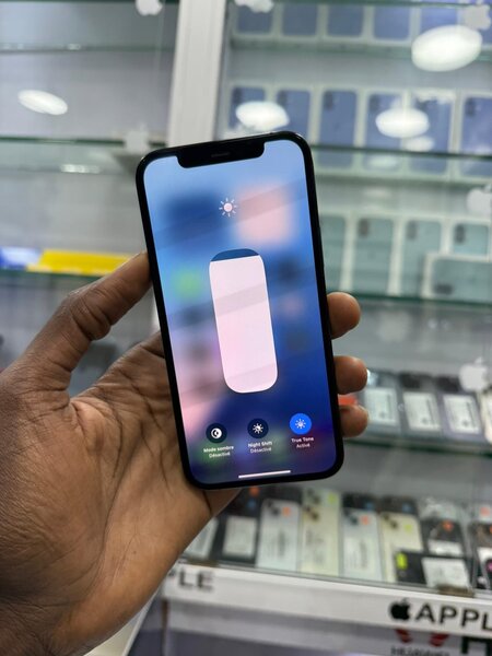iPhone 12 Pro Bleu