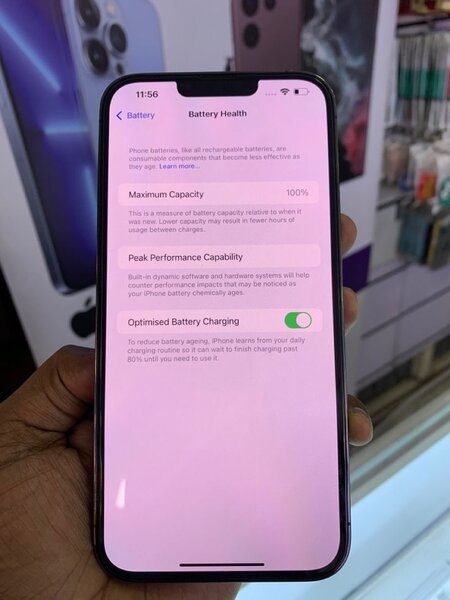 iPhone 13 Pro Max