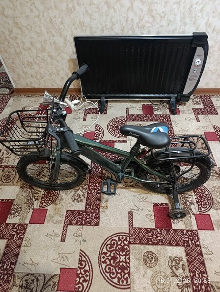 Барс
