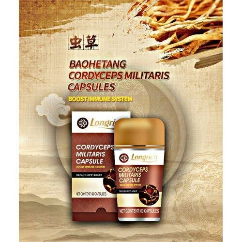 Cordyceps militaris