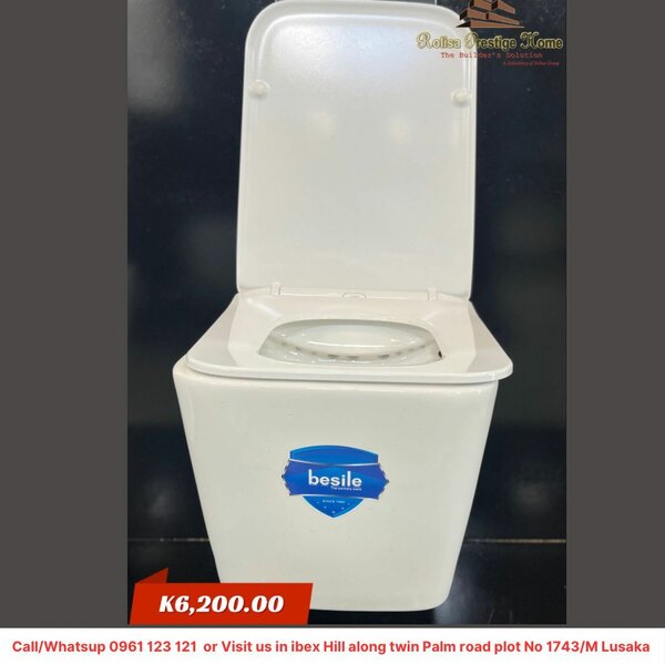 Wall hang toilet