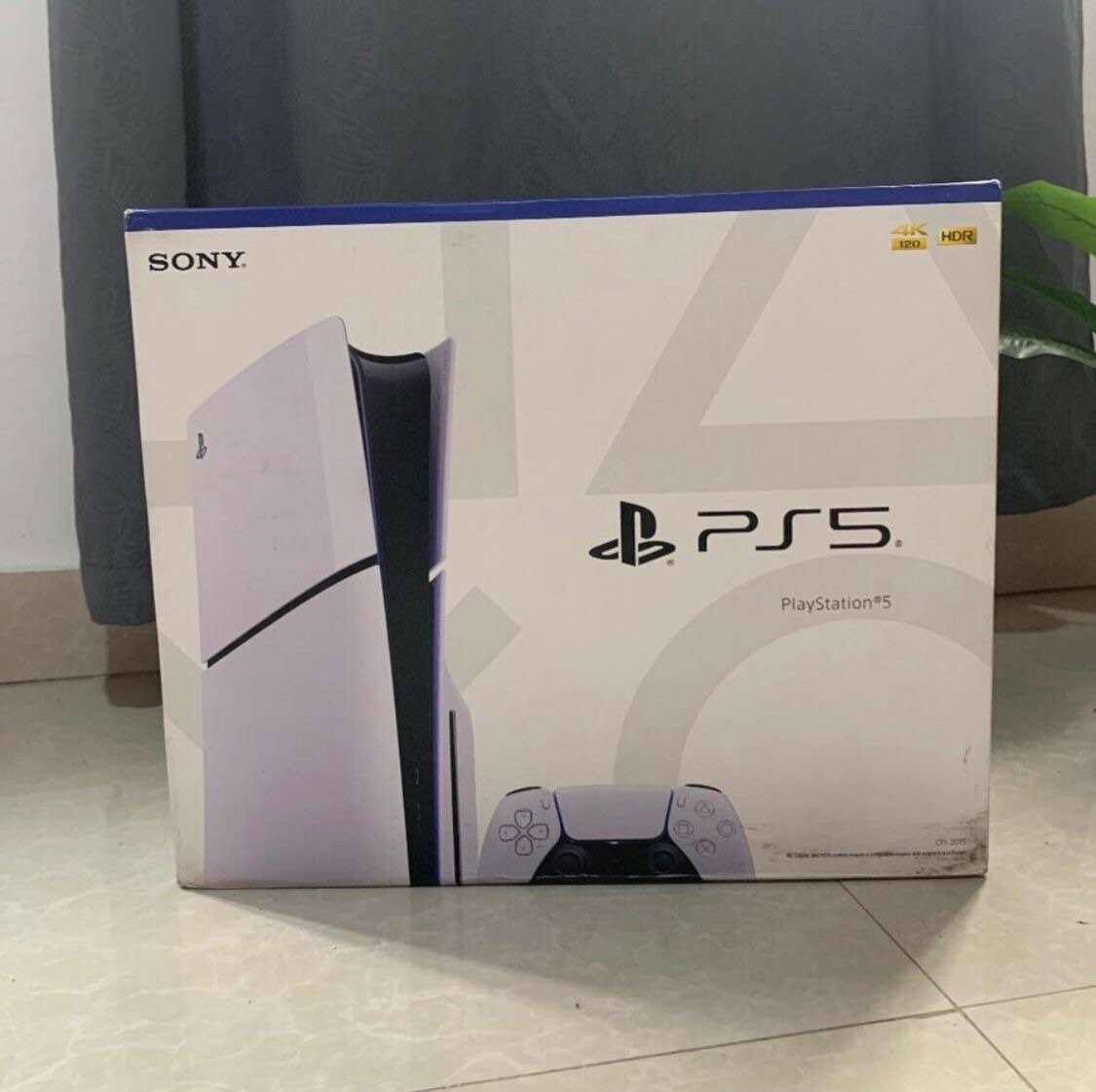 Play Station 5 Standard
