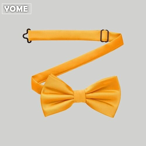 Noeud papillon élégant jaune