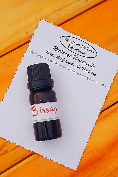 Parfum pour Voiture universel