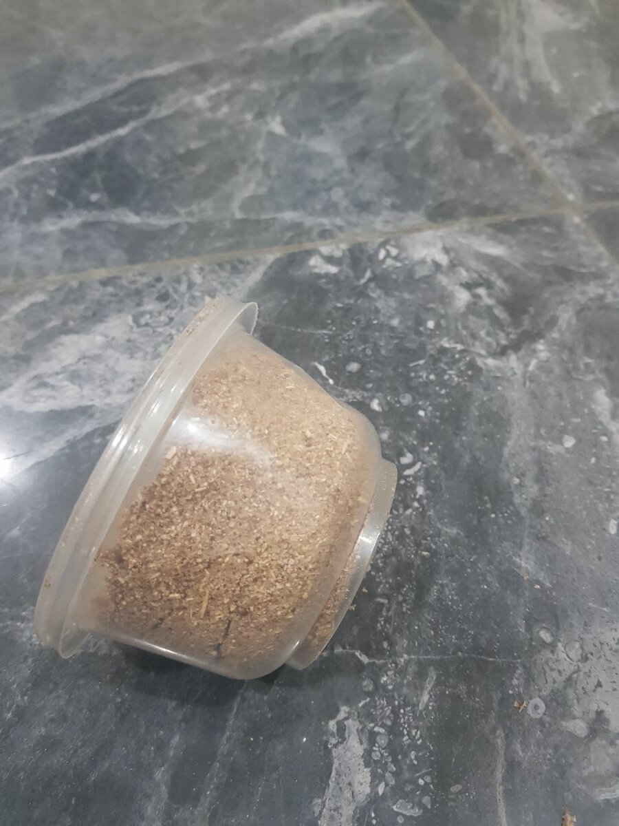 Poudre de chébé