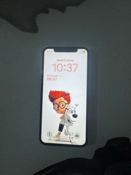 iPhone X