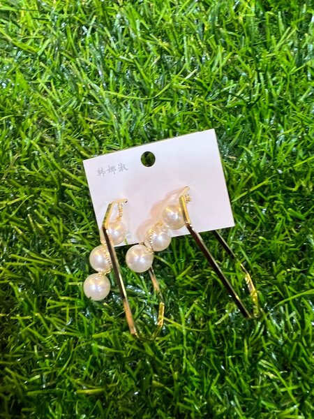 Earrings