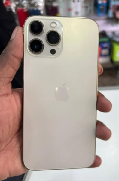 iPhone 13 Pro Max