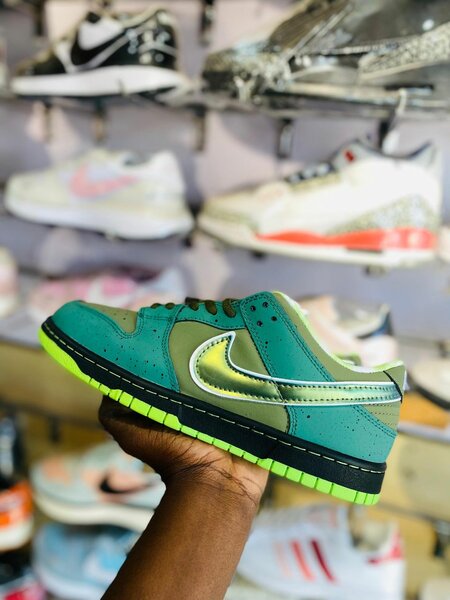 Nike sb dunks