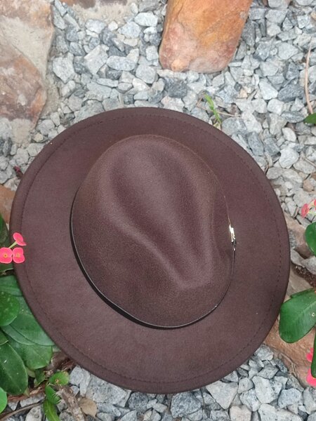 Fedora hat