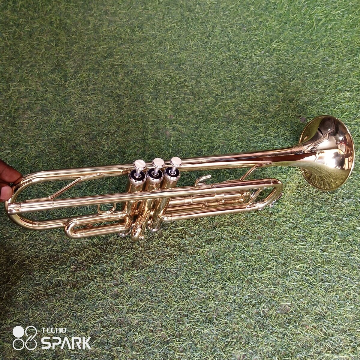 Trumpet titanic