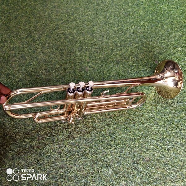 Trumpet titanic