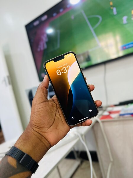 iPhone 13 Pro Max