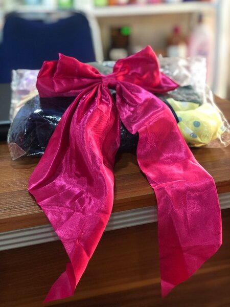 Bow hair clips