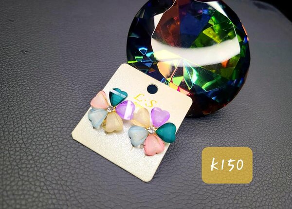 Jewelry earrings