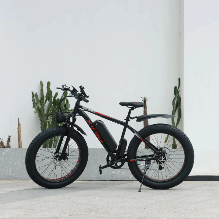 Vélo électrique