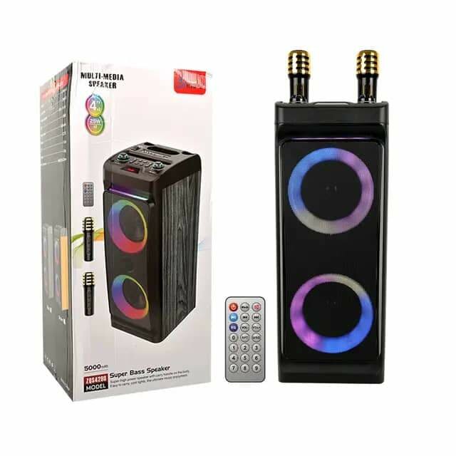 Haut parleur bluetooth portable sans fil pour karaoké audio