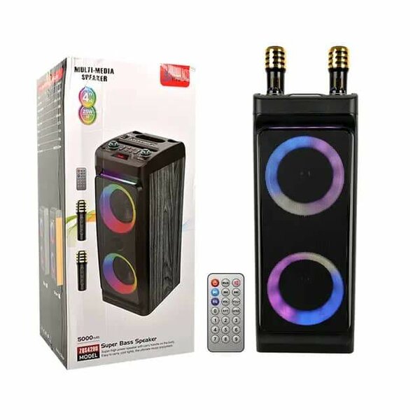 Haut parleur bluetooth portable sans fil pour karaoké audio