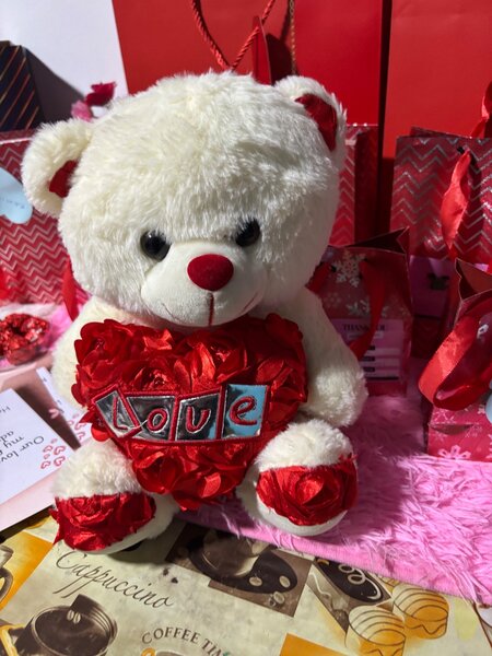 Teddy bear