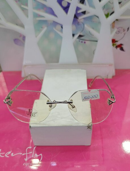 Lunettes élégantes pour femmes