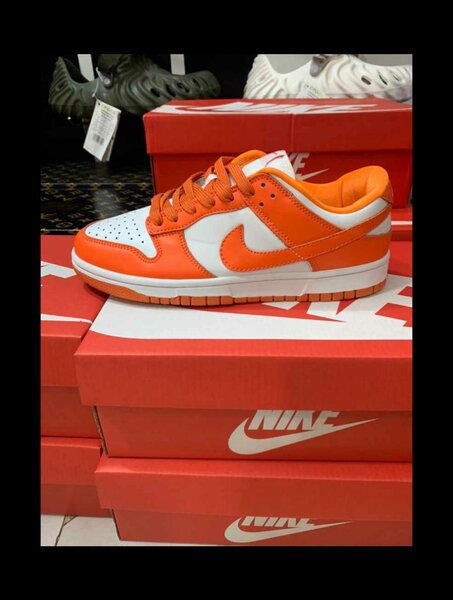 Nike sb 